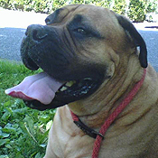 Ben