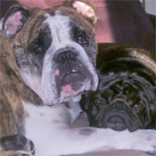 Jake & Harley